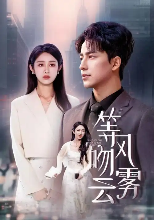 了不起的麦瑟尔夫人